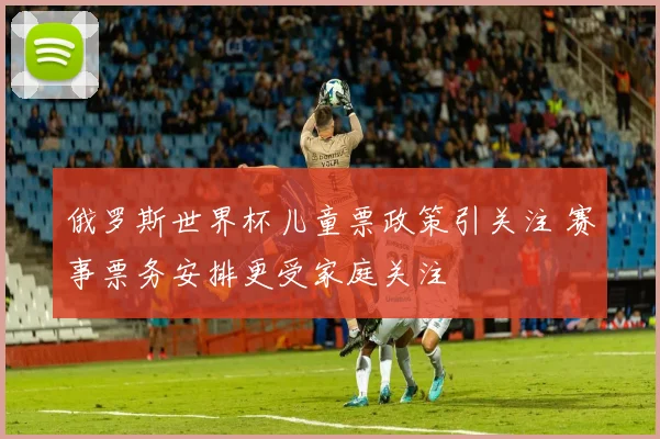 俄罗斯世界杯儿童票政策引关注 赛事票务安排更受家庭关注