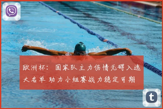 欧洲杯:国家队主力伤情无碍入选大名单 助力小组赛战力稳定可期