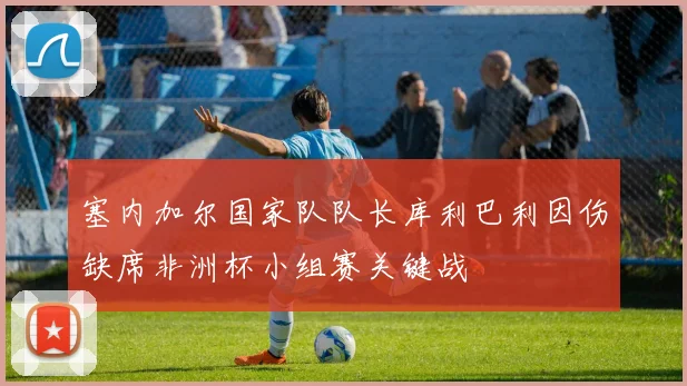 塞内加尔国家队队长库利巴利因伤缺席非洲杯小组赛关键战