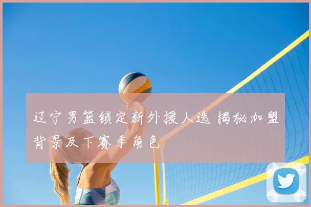 辽宁男篮锁定新外援人选 揭秘加盟背景及下赛季角色