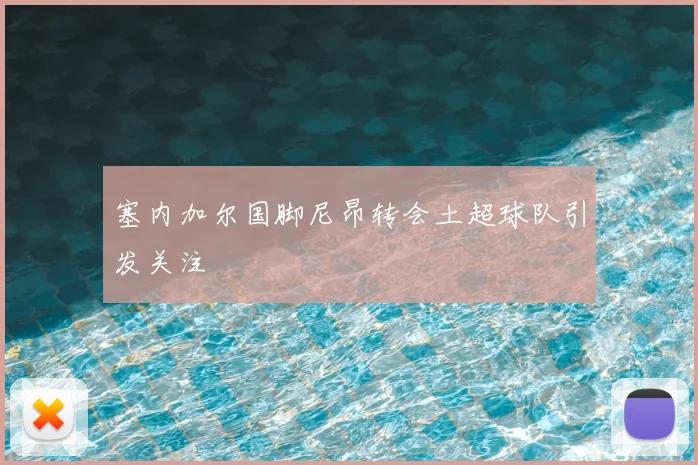 塞内加尔国脚尼昂转会土超球队引发关注