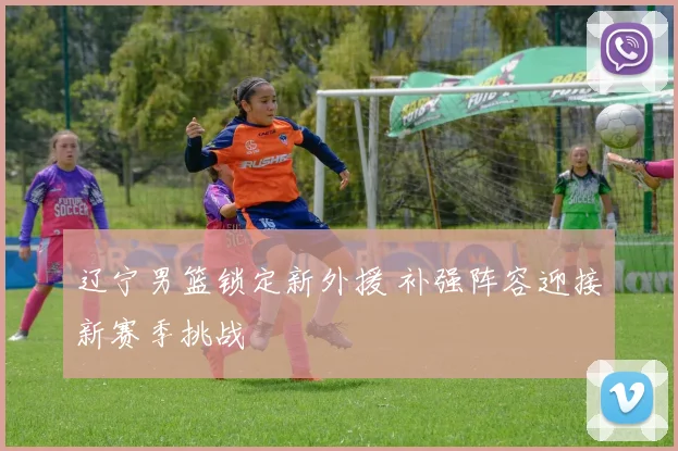 辽宁男篮锁定新外援 补强阵容迎接新赛季挑战