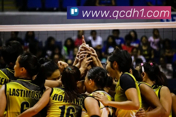 必一运动b体育官网服务体系